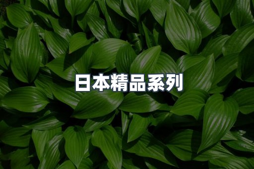日本精品系列