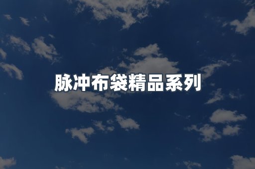 脉冲布袋精品系列